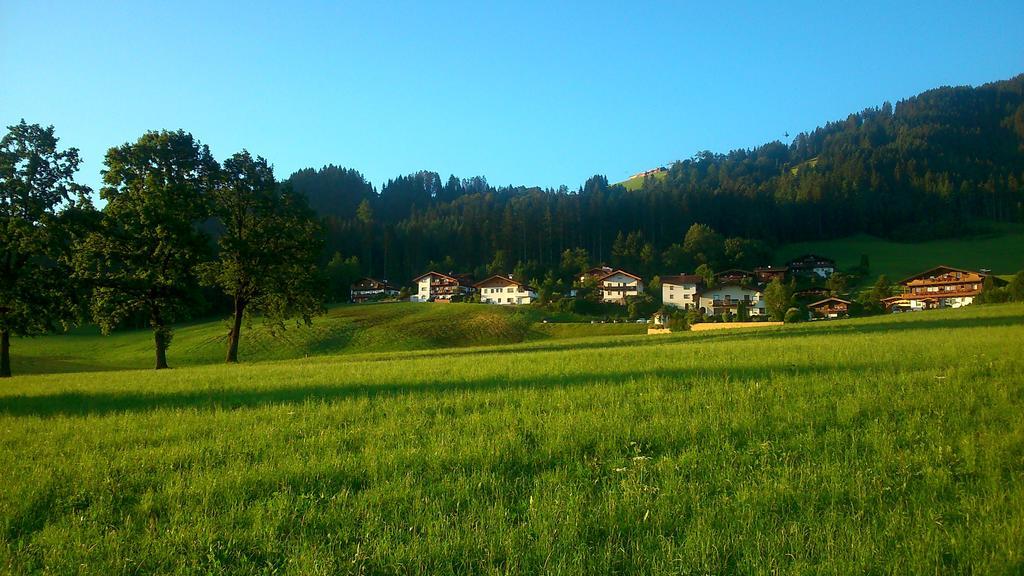 Haus Thaler Daire Reith im Alpbachtal Oda fotoğraf
