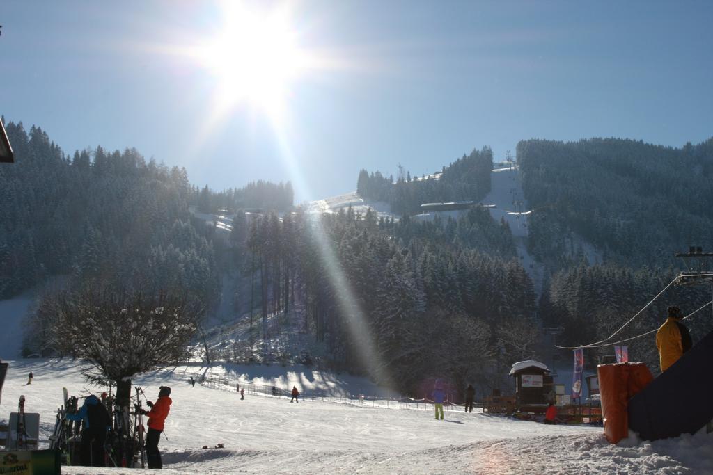 Haus Thaler Daire Reith im Alpbachtal Dış mekan fotoğraf