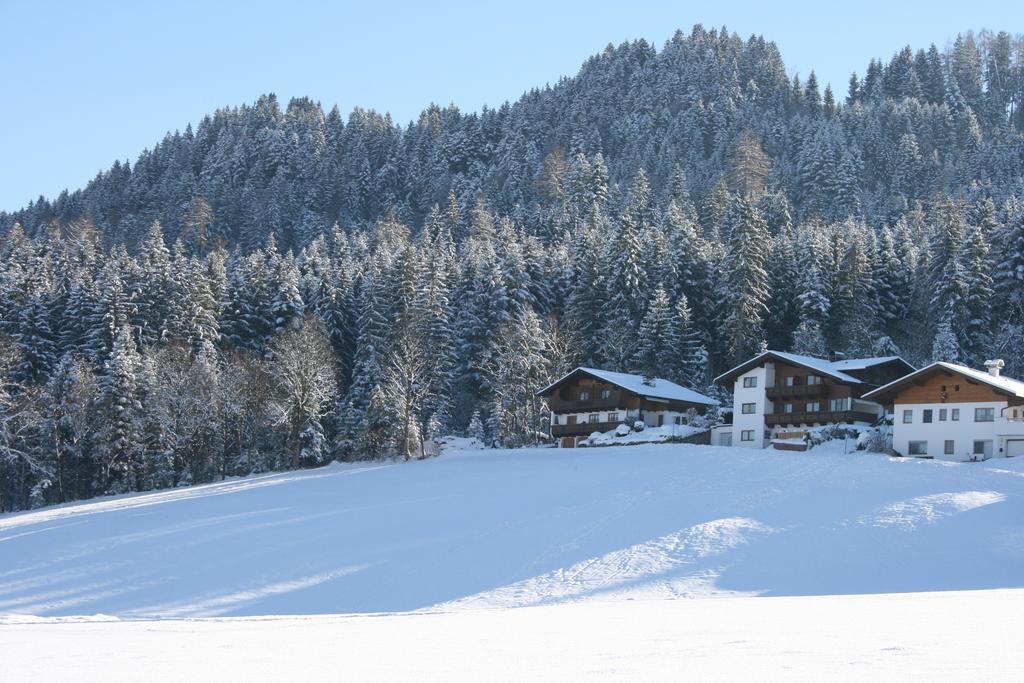 Haus Thaler Daire Reith im Alpbachtal Dış mekan fotoğraf